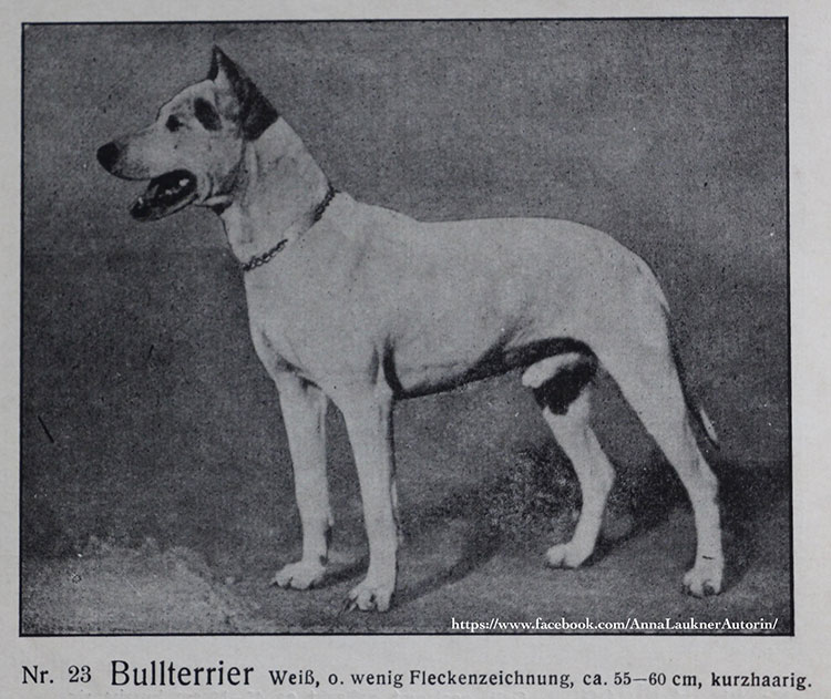 A look back at dog trade in Germany 80 years ago