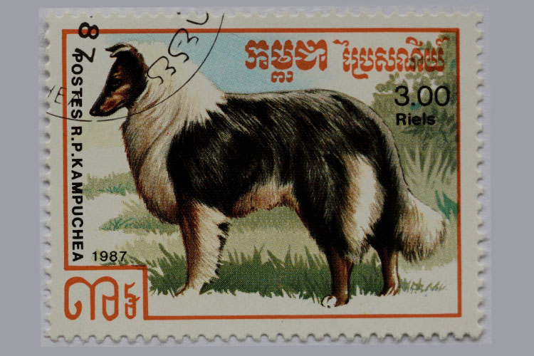 Briefmarken mit Collie-Motiven